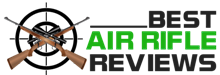 Best Air Rifle Reviews