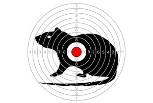 best air rifle for pest control